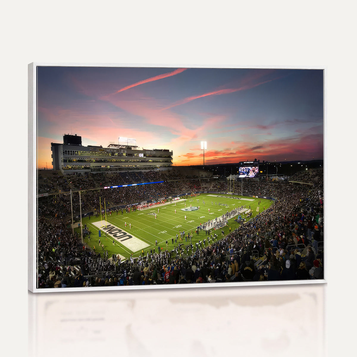 64416-MGV-CV-36X24 - The University of Connecticut UCONN Huskies Football Team Print, Framed and Ready to Hang