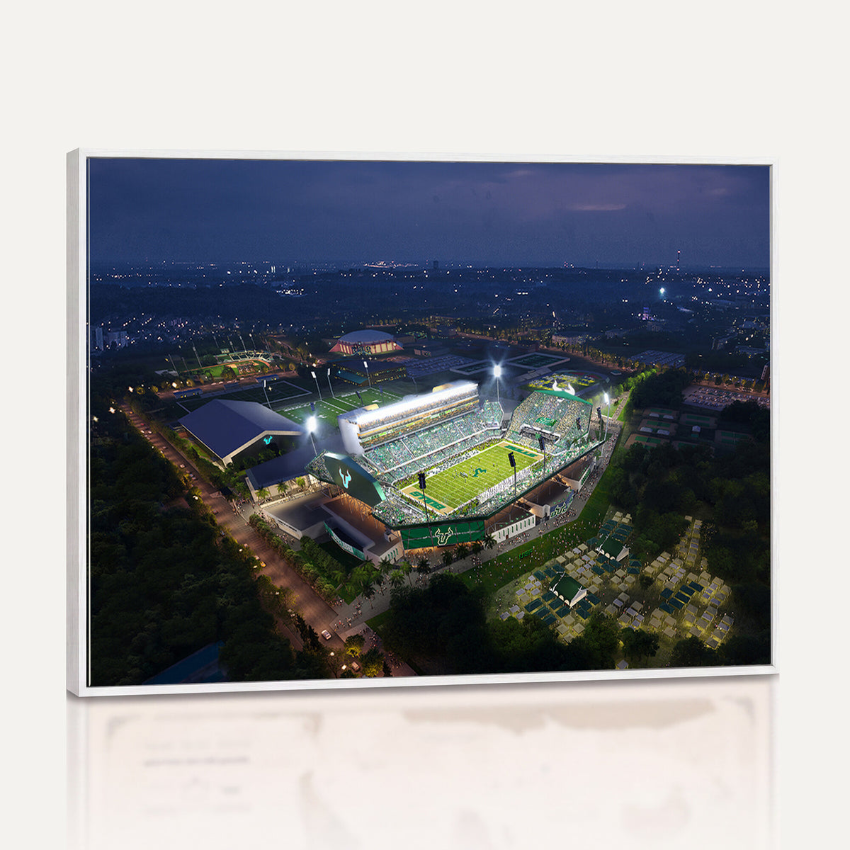 27554-MGV-CV-36X24 - The University of South Florida Bulls Football Team Print