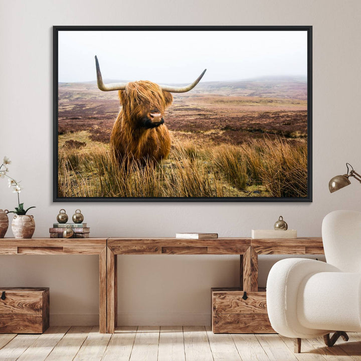 A ready-to-hang Scottish Highland Cow Cattle Canvas Wall Art.