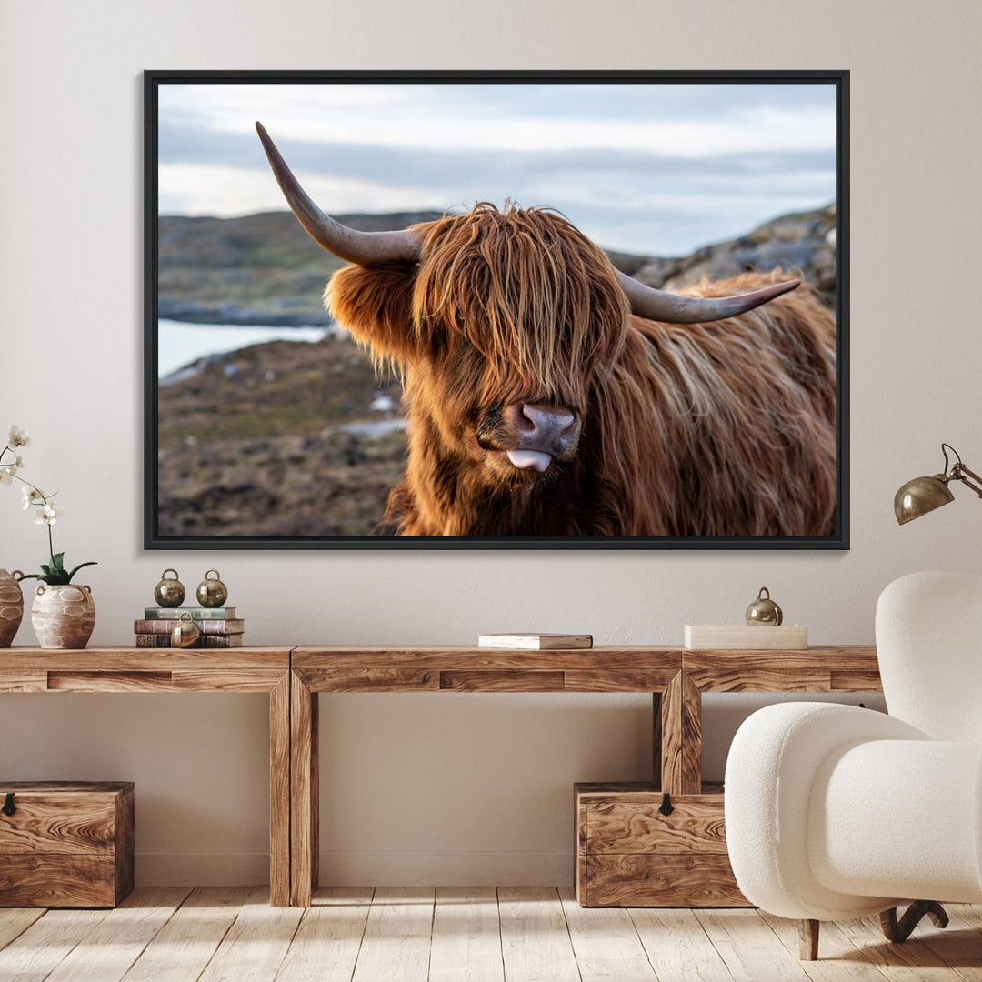 The Cuddly Highland Cow Canvas hangs, adding charm with its shaggy elegance.