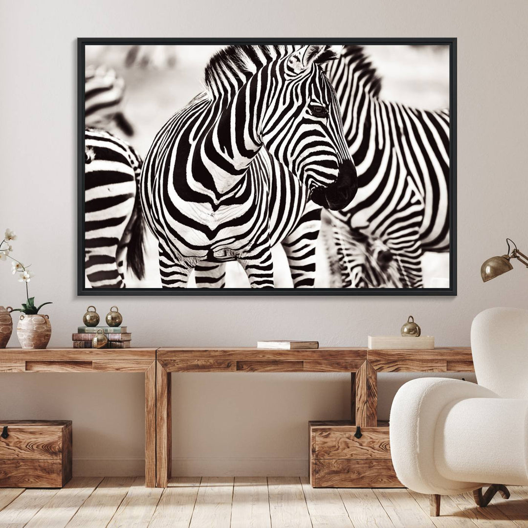 The Brilliant Zebra Photography Art Canvas Print hangs prominently on the wall.