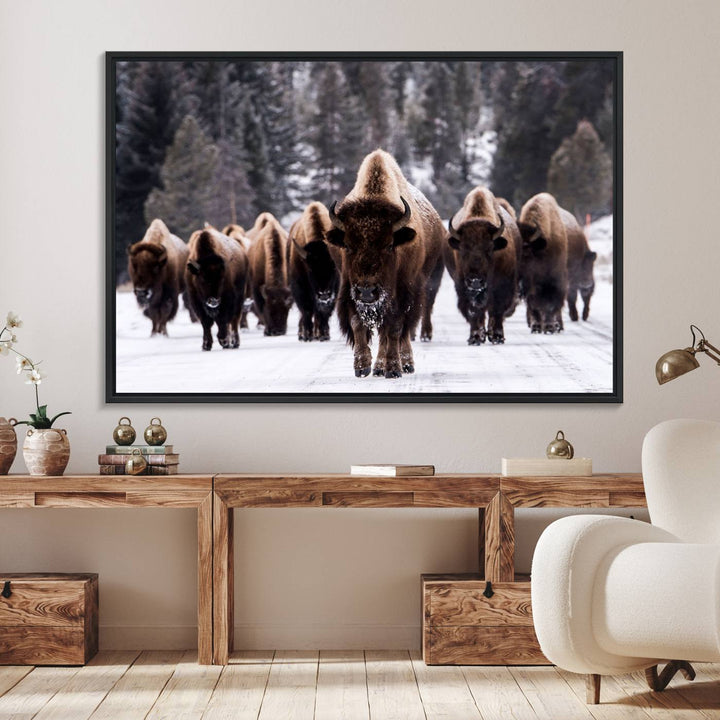 Bison Herd Canvas Wall Art.