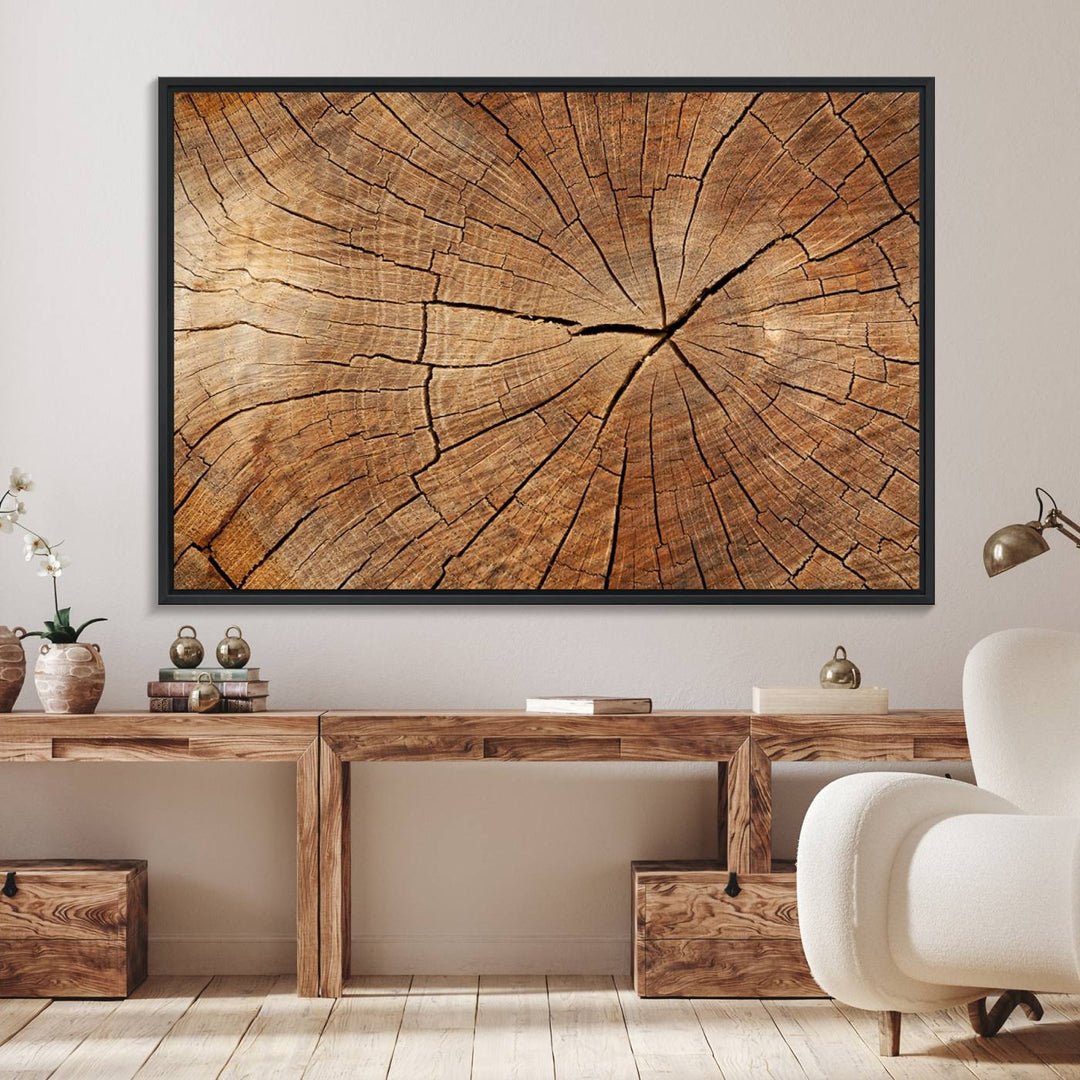 Tree Ring Canvas Art decorates a textured wall.