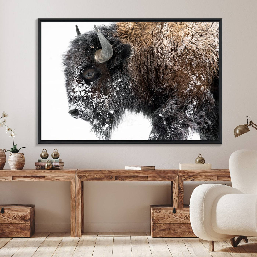 The American Bison Wall Art Print is prominently displayed on the wall.