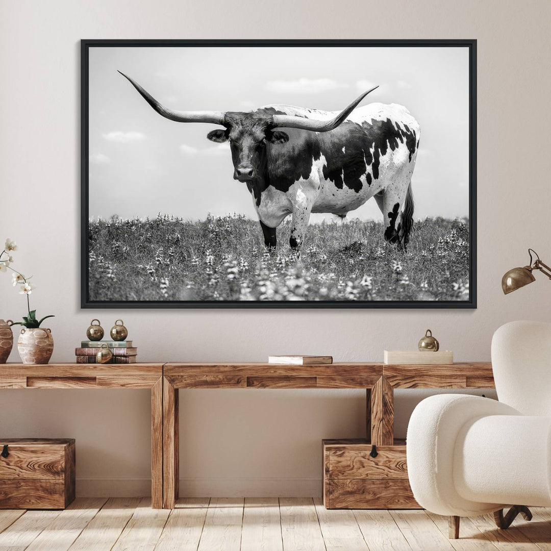 Texas Black White Highland Longhorn Cow Wall Art Canvas displayed on the wall.