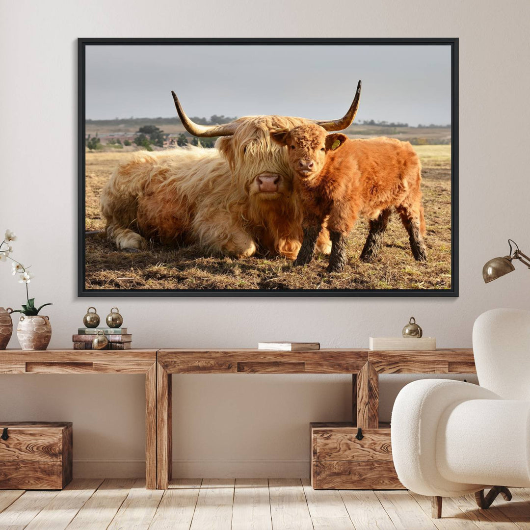 Highland Cow Canvas: a light brown cow and calf in the field, ideal farmhouse decor.