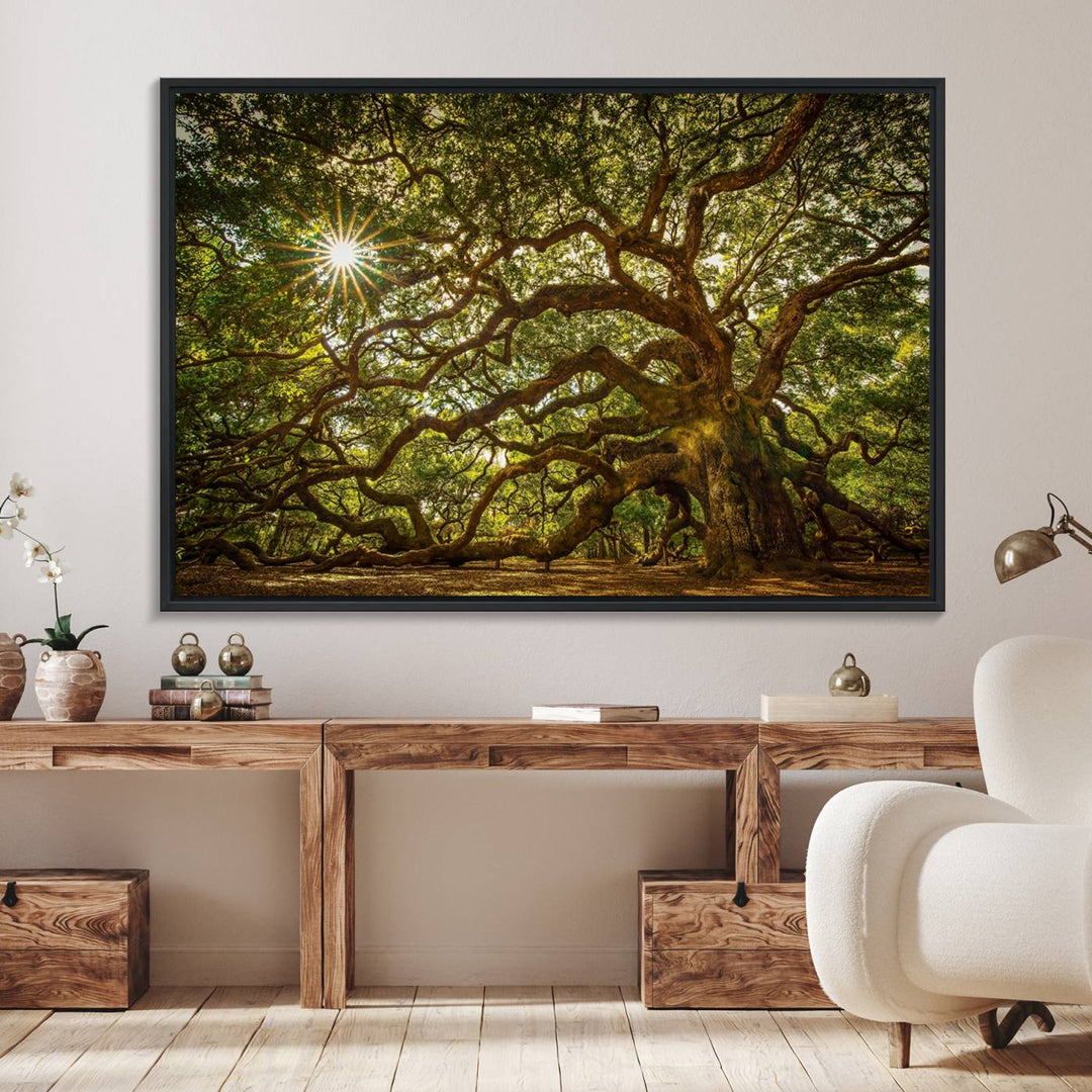 The Ancient Angel Oak Tree Art Sunburst Canvas Print, a framed triptych, serves as wall art.