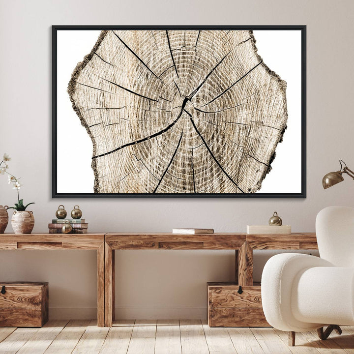 The Abstract Wood Tree Ring Wall Art set of 3 adds a minimalist touch to the space.