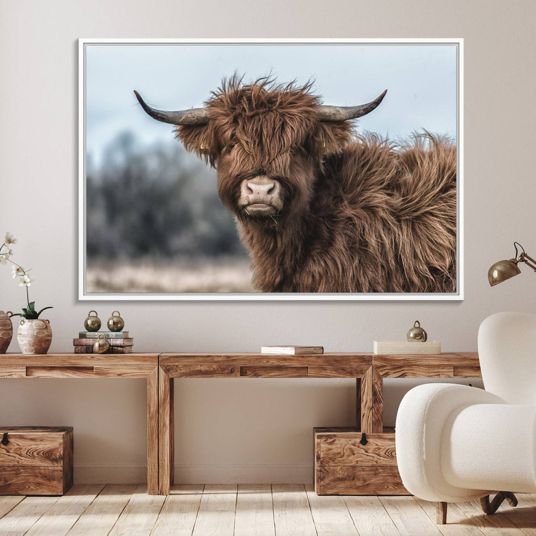 Fluffy Highland Cow Wall Art Canvas Print.