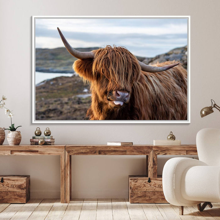 The Cuddly Highland Cow Canvas hangs, adding charm with its shaggy elegance.