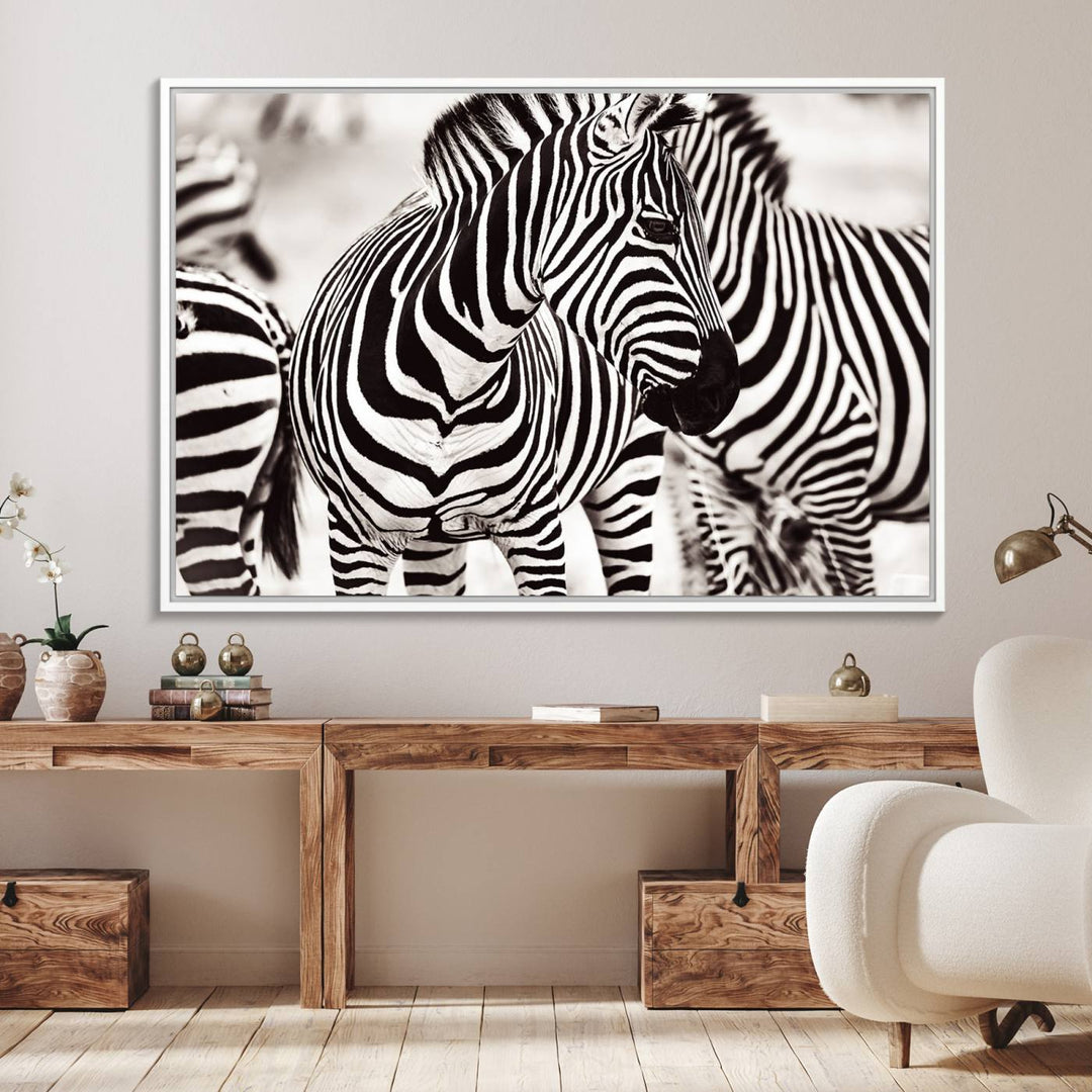 The Brilliant Zebra Photography Art Canvas Print hangs prominently on the wall.