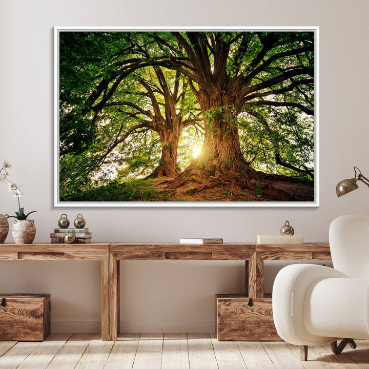 Majestic Ancient Tree Wall Art is illuminated by sunlit forest rays.