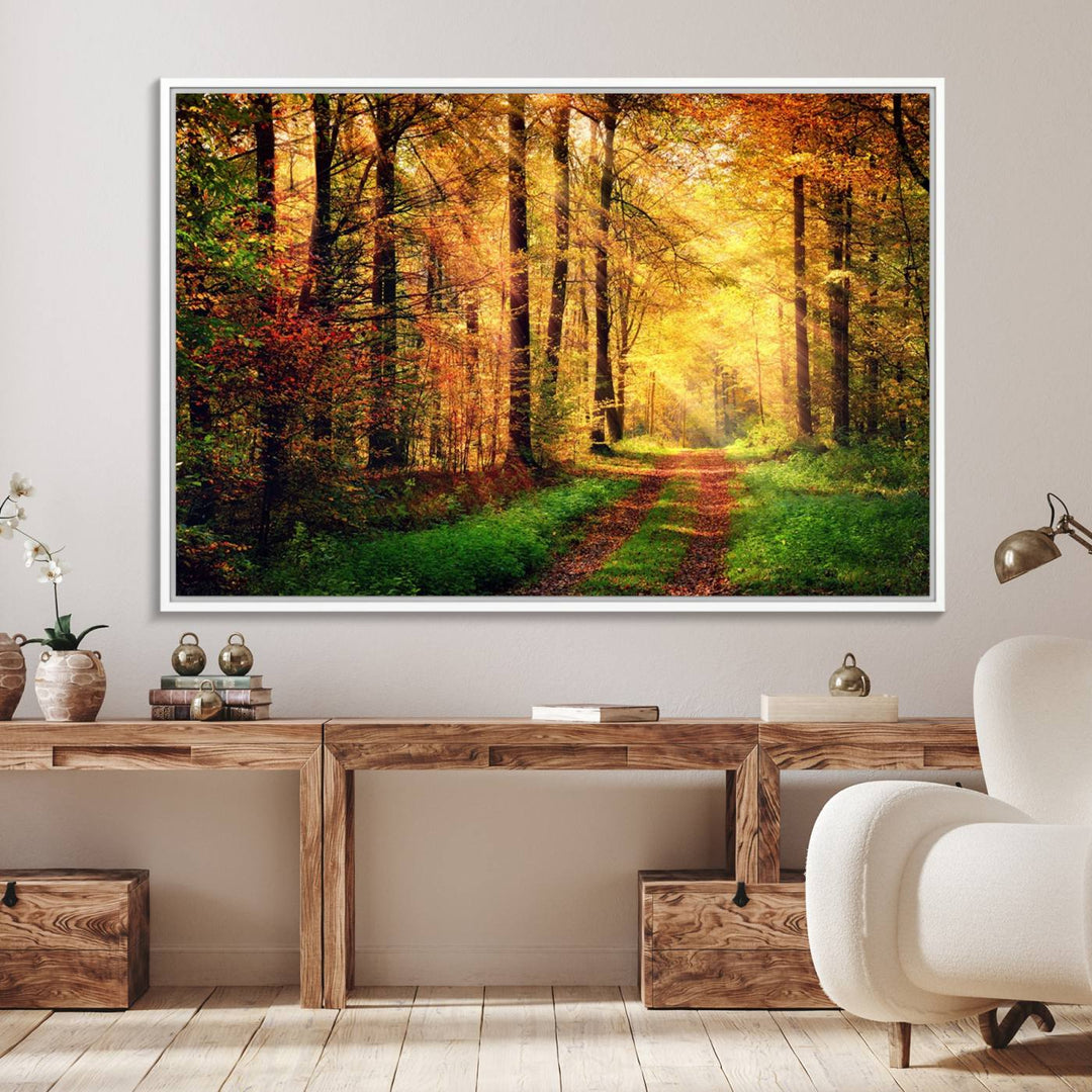 The Sunlight Through Trees Wall Art Canvas Print showcases a sunlit autumn forest and includes UV protection to ensure lasting vibrance.