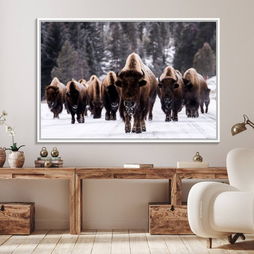 Bison Herd Canvas Wall Art.