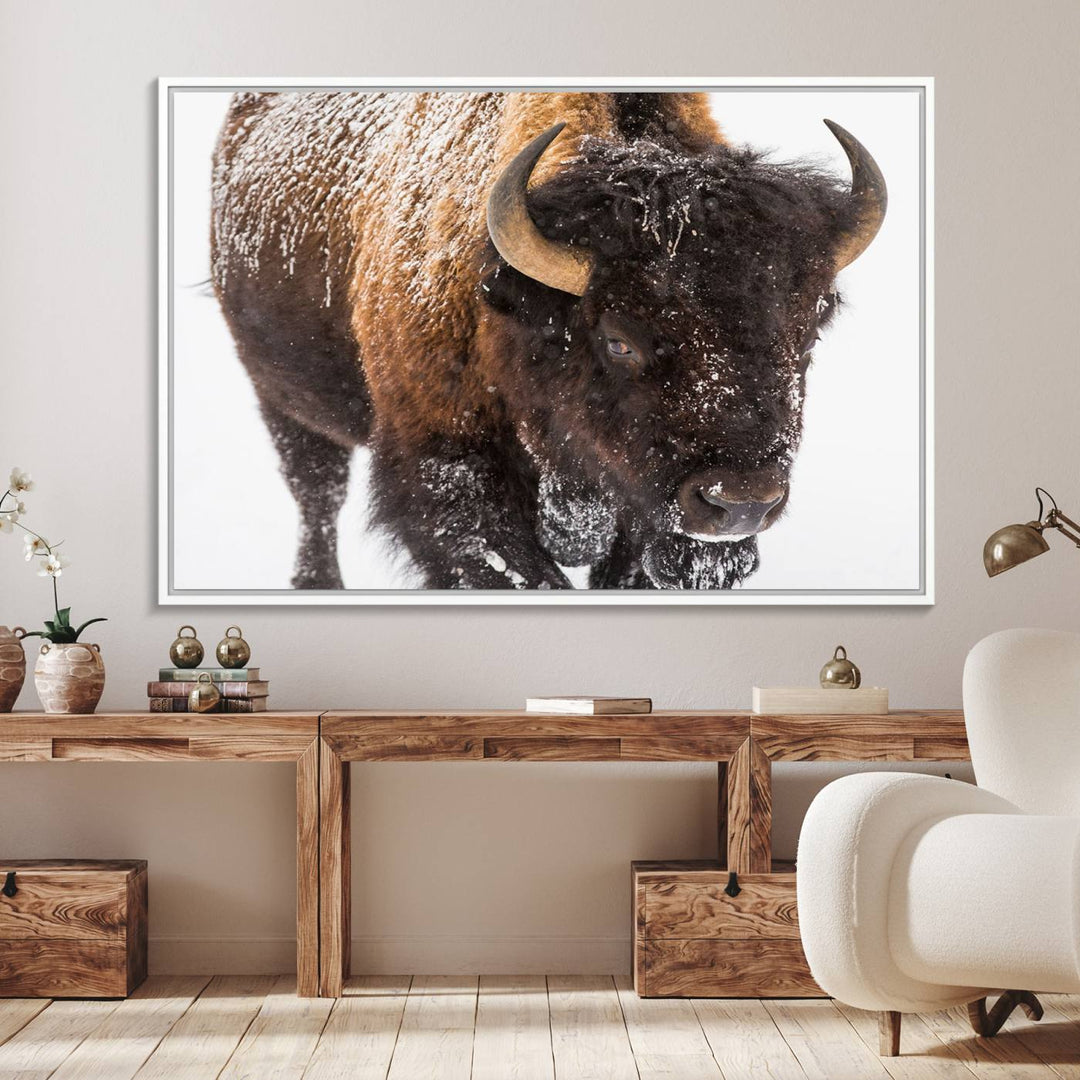 Bison Wall Art Canvas.