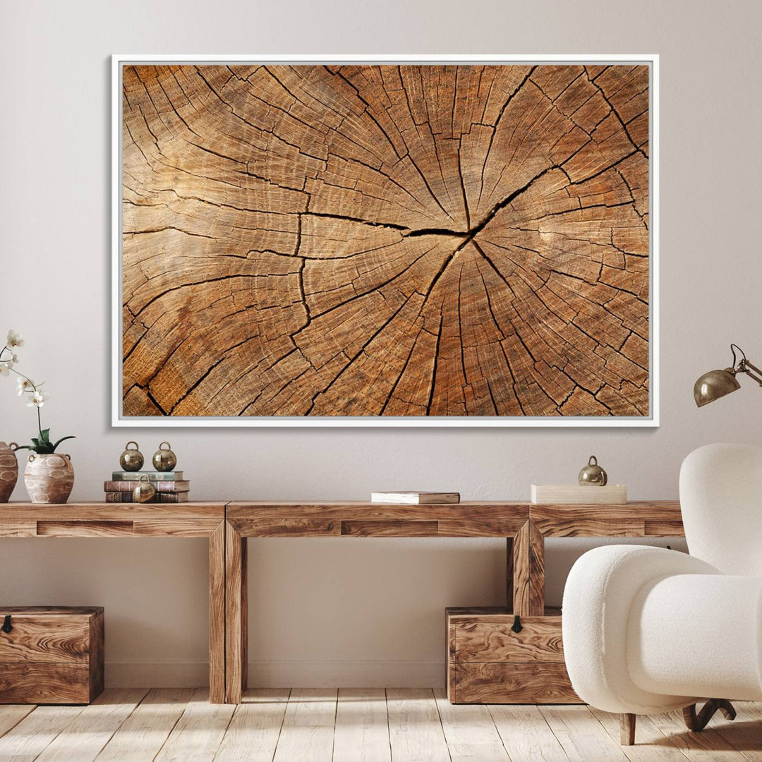 Tree Ring Canvas Art decorates a textured wall.