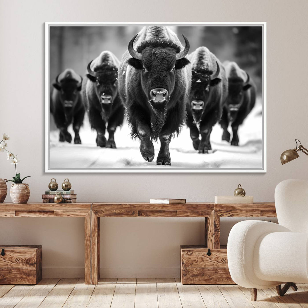 A black and white American Bison herd canvas print adorns the wall.