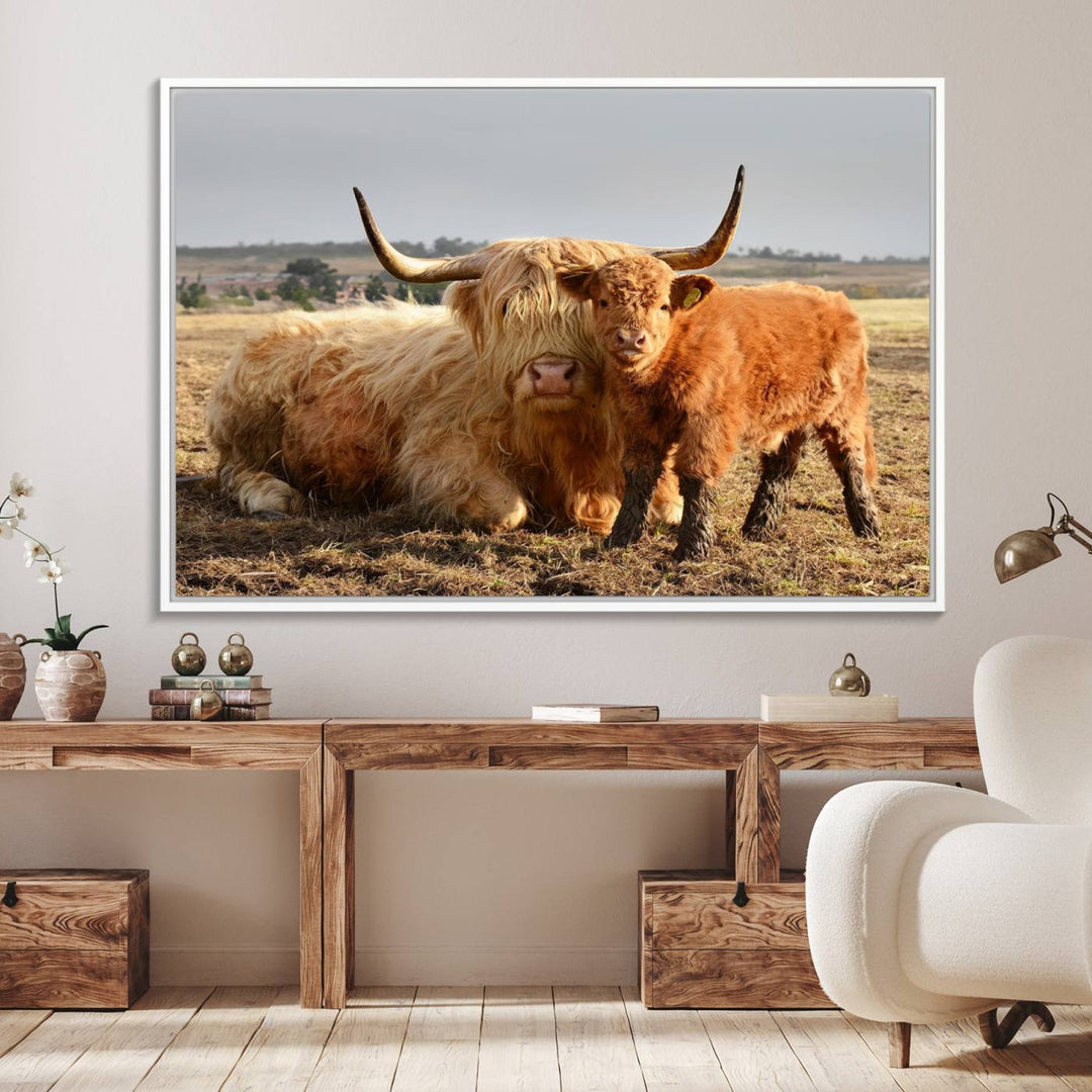 Highland Cow Canvas: a light brown cow and calf in the field, ideal farmhouse decor.