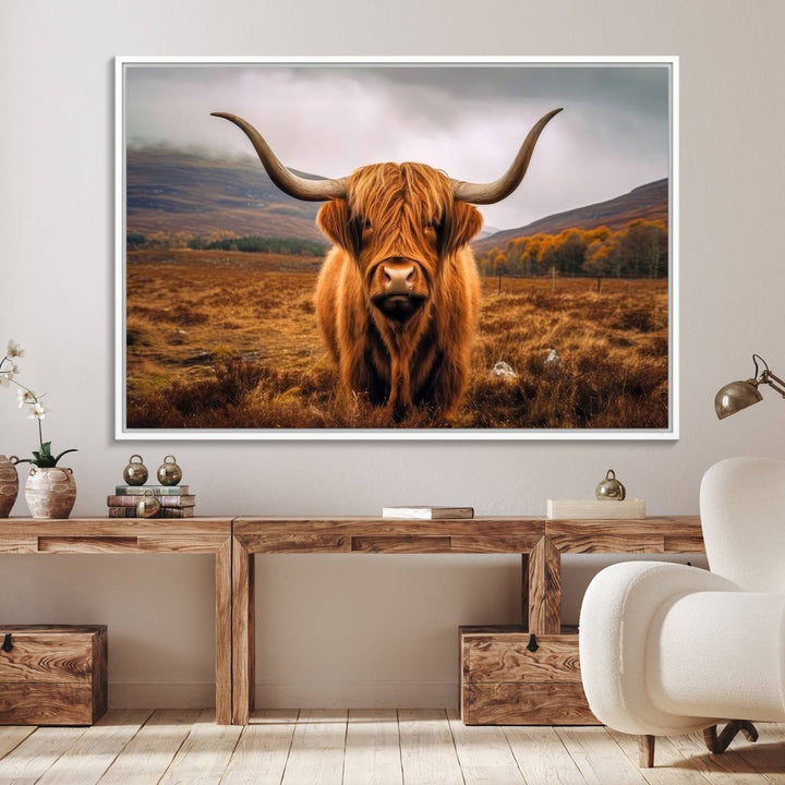 Highland Cow Longhorn Canvas Print, framed, on a wooden wall.