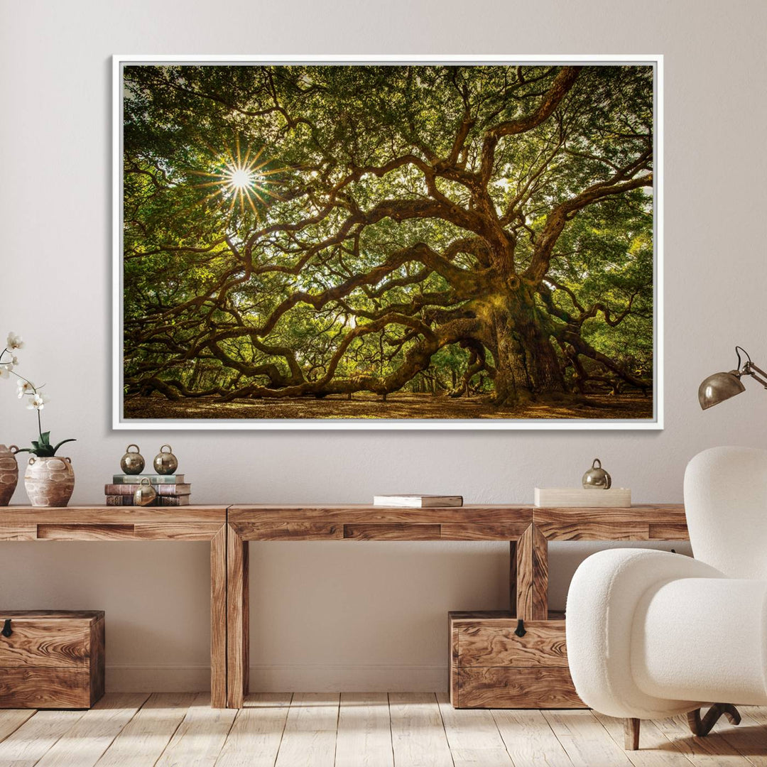 The Ancient Angel Oak Tree Art Sunburst Canvas Print, a framed triptych, serves as wall art.