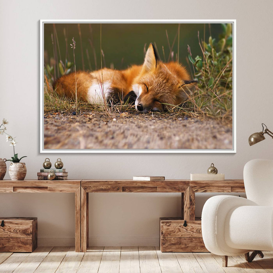 The Sleeping Fox Wall Art Canvas Print is ideal for farmhouse decor.