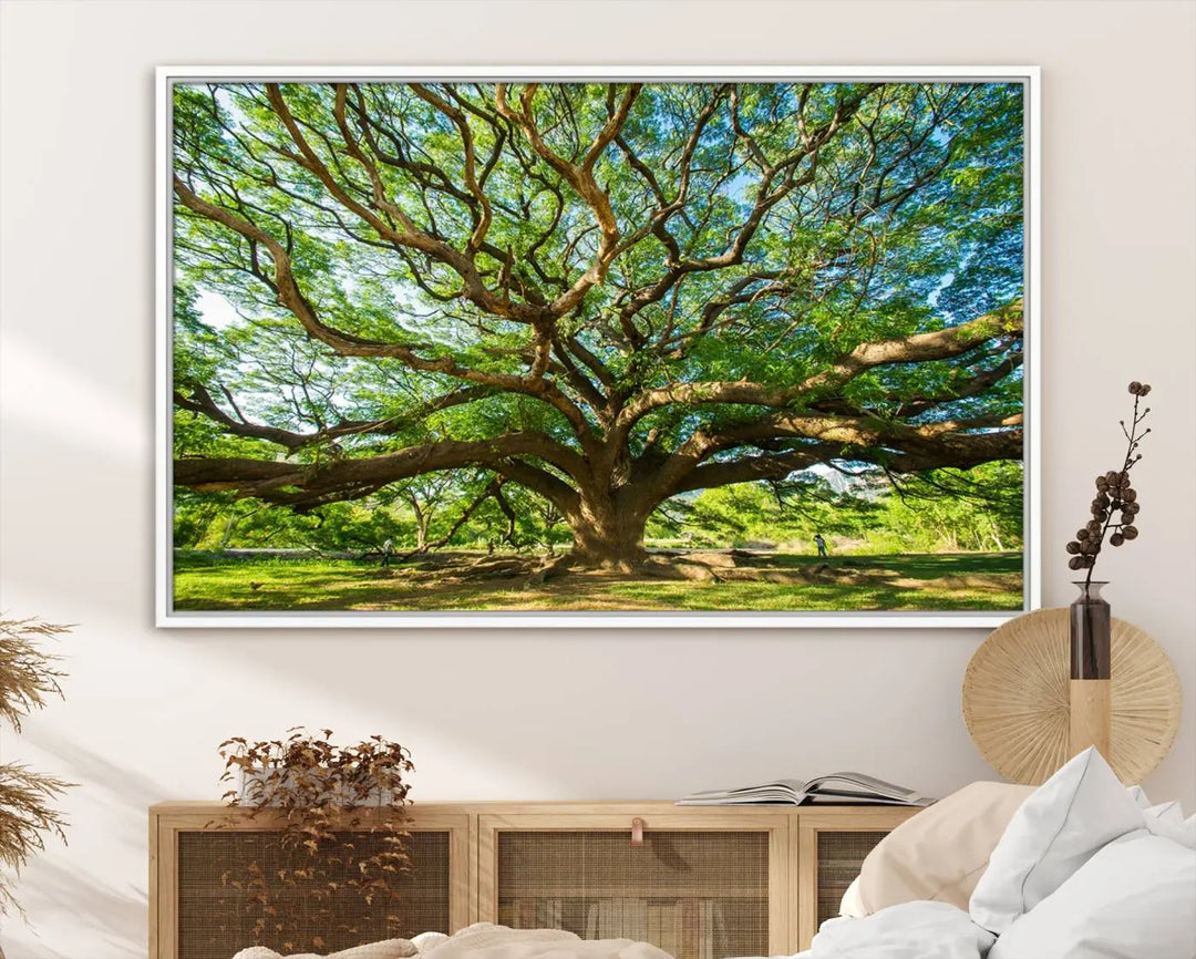 The Angel Oak Tree Wall Art, a multi-panel canvas print showcasing a large tree with sprawling branches and green leaves in a style reminiscent of the majestic Angel Oak Tree, elegantly adorns the wooden wall in the living room.