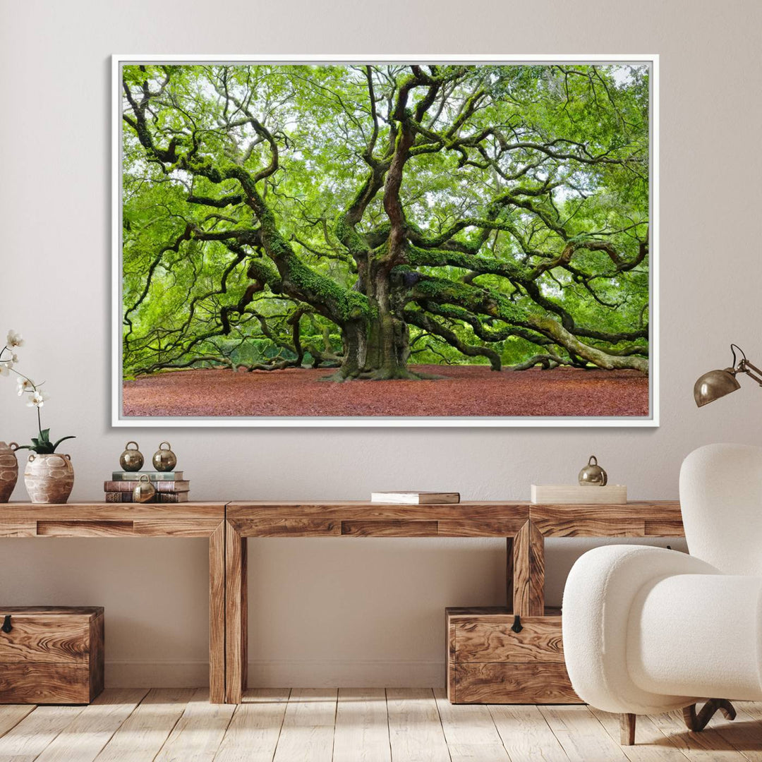 Framed Angel Oak Tree Wall Art: Large 3-panel green nature canvas, ready to hang.