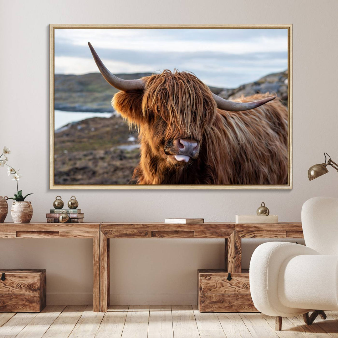 The Cuddly Highland Cow Canvas hangs, adding charm with its shaggy elegance.