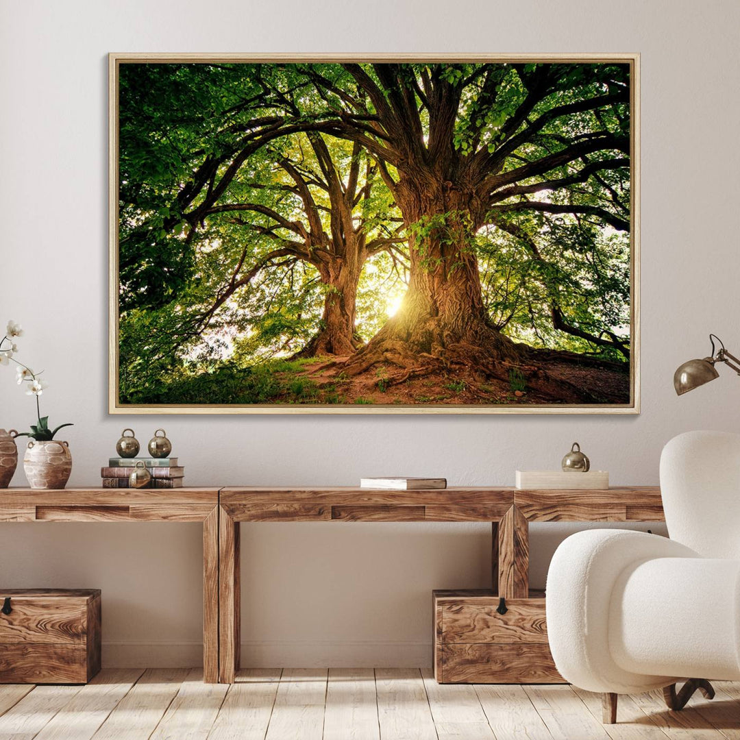 Majestic Ancient Tree Wall Art is illuminated by sunlit forest rays.