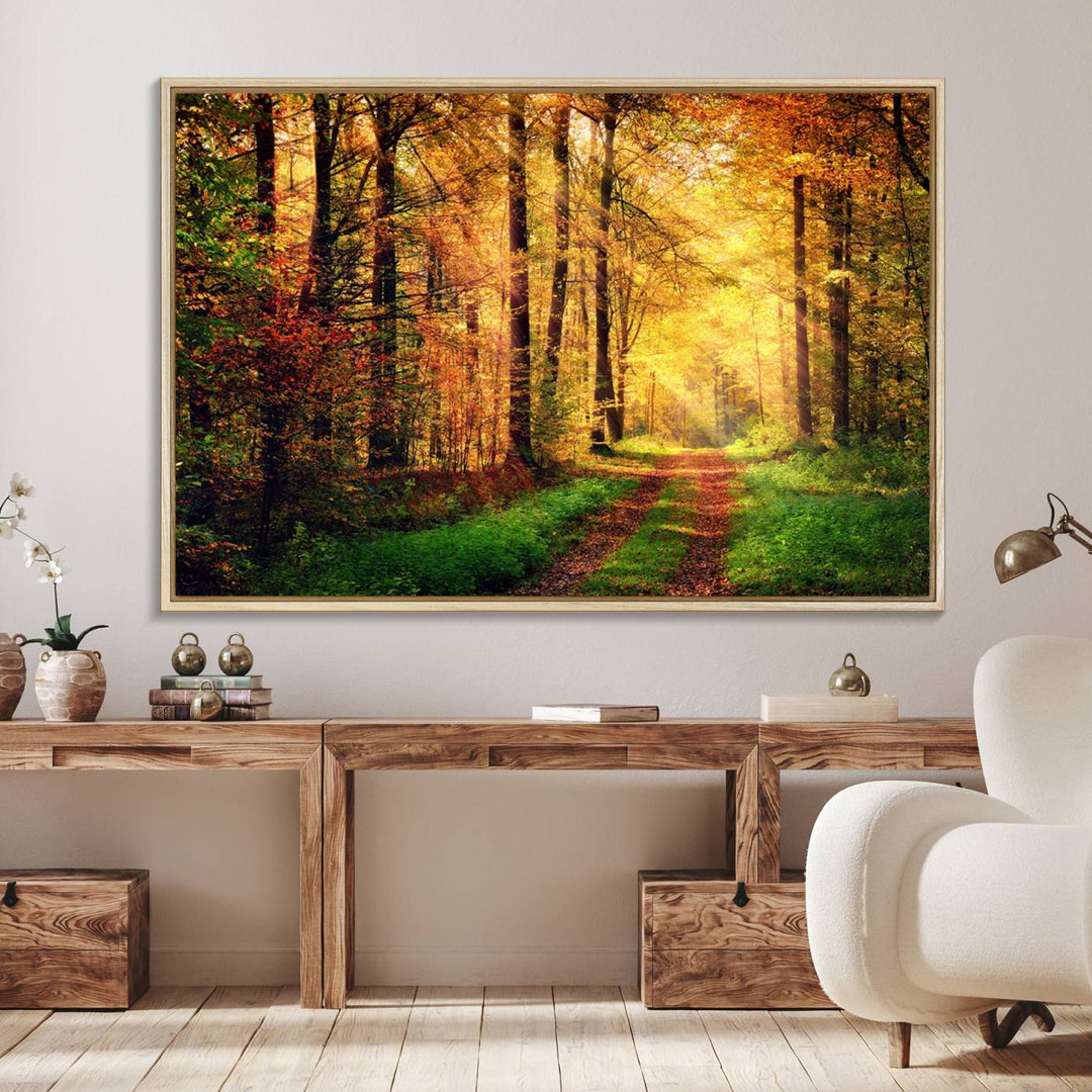 The Sunlight Through Trees Wall Art Canvas Print showcases a sunlit autumn forest and includes UV protection to ensure lasting vibrance.