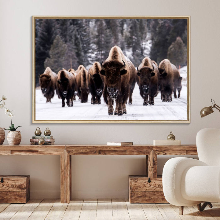 Bison Herd Canvas Wall Art.