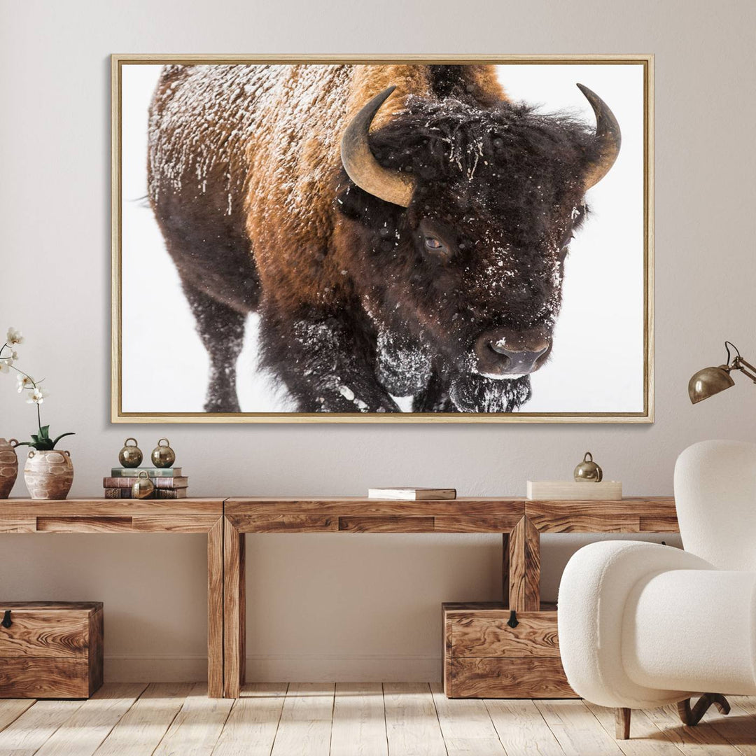 Bison Wall Art Canvas.