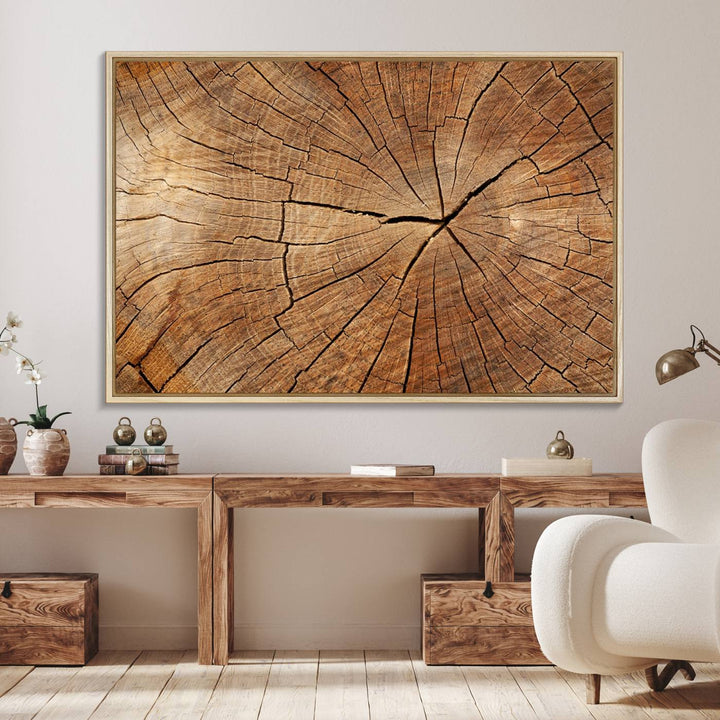 Tree Ring Canvas Art decorates a textured wall.