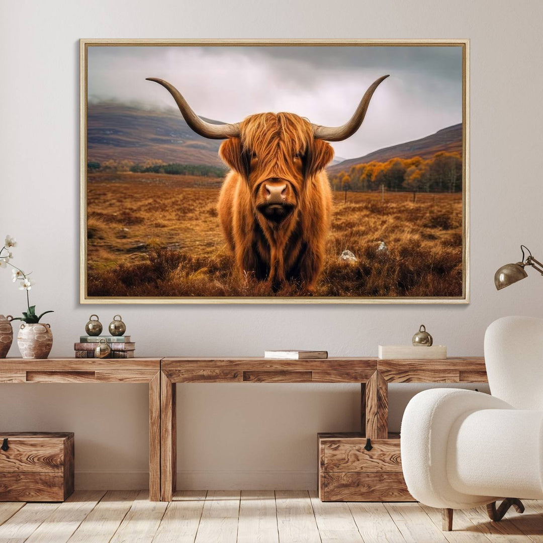 Highland Cow Longhorn Canvas Print, framed, on a wooden wall.