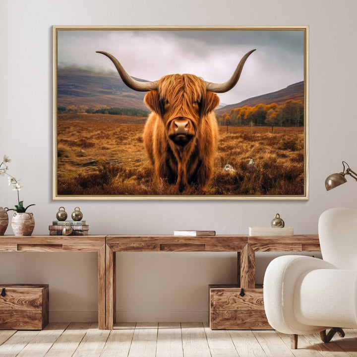 Highland Cow Longhorn Canvas Print, framed, on a wooden wall.