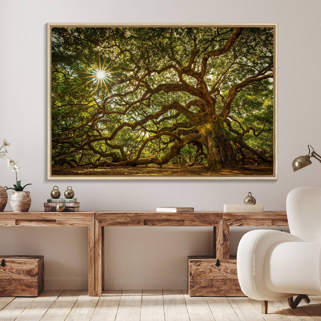 The Ancient Angel Oak Tree Art Sunburst Canvas Print, a framed triptych, serves as wall art.