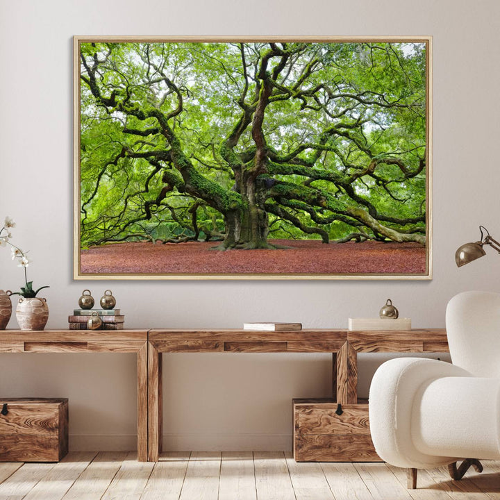 Framed Angel Oak Tree Wall Art: Large 3-panel green nature canvas, ready to hang.