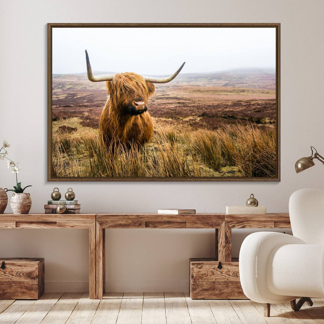 A ready-to-hang Scottish Highland Cow Cattle Canvas Wall Art.