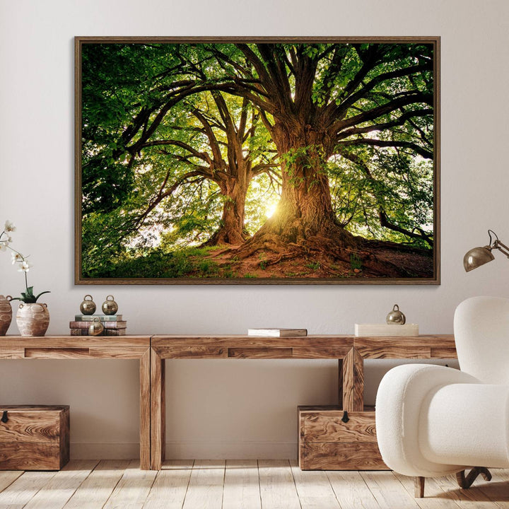 Majestic Ancient Tree Wall Art is illuminated by sunlit forest rays.