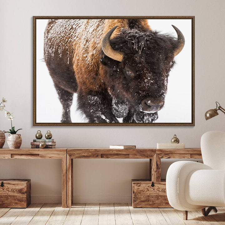 Bison Wall Art Canvas.