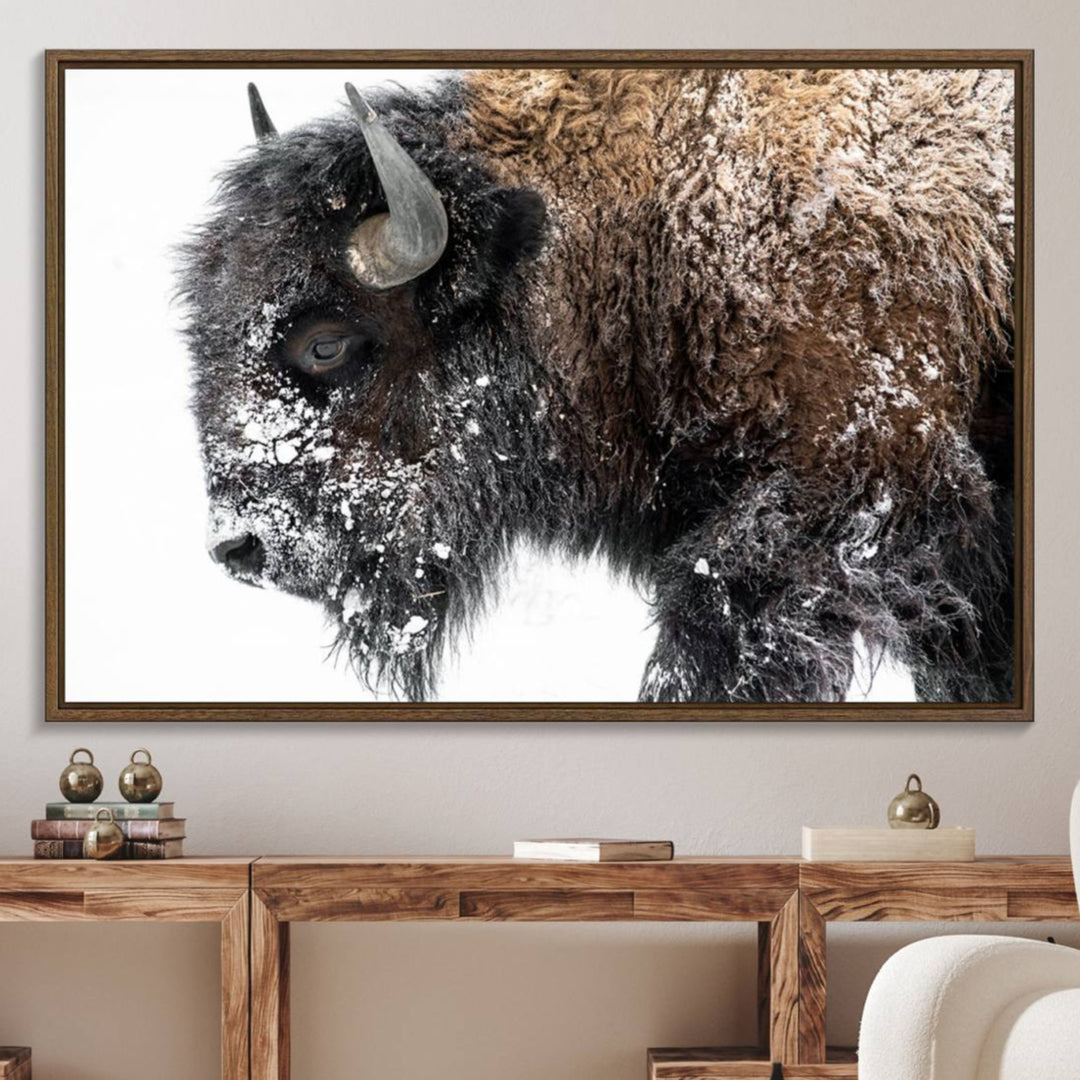 The American Bison Wall Art Print is prominently displayed on the wall.