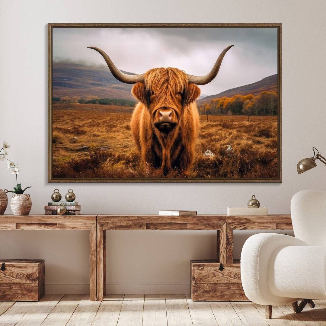 Highland Cow Longhorn Canvas Print, framed, on a wooden wall.