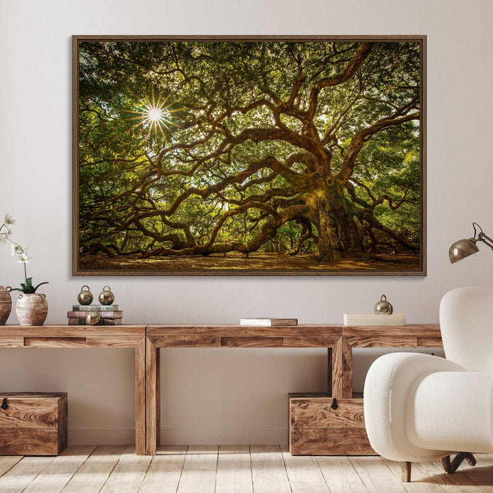 The Ancient Angel Oak Tree Art Sunburst Canvas Print, a framed triptych, serves as wall art.