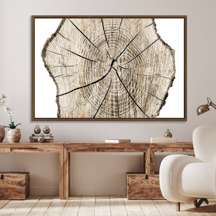 The Abstract Wood Tree Ring Wall Art set of 3 adds a minimalist touch to the space.