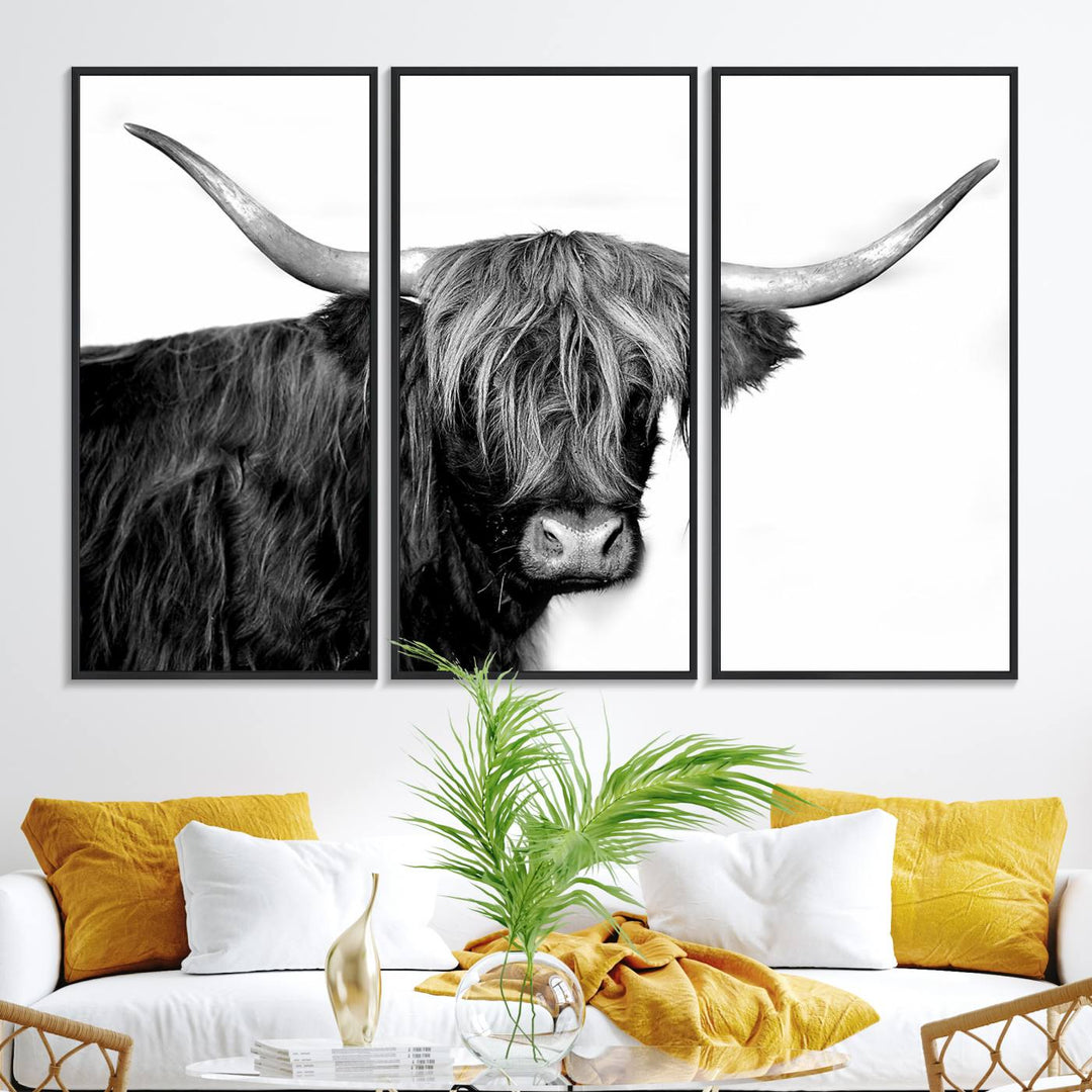 The Black and White Highland Cow Multi Panel Wall Art Canvas Print with UV-protection hangs prominently.