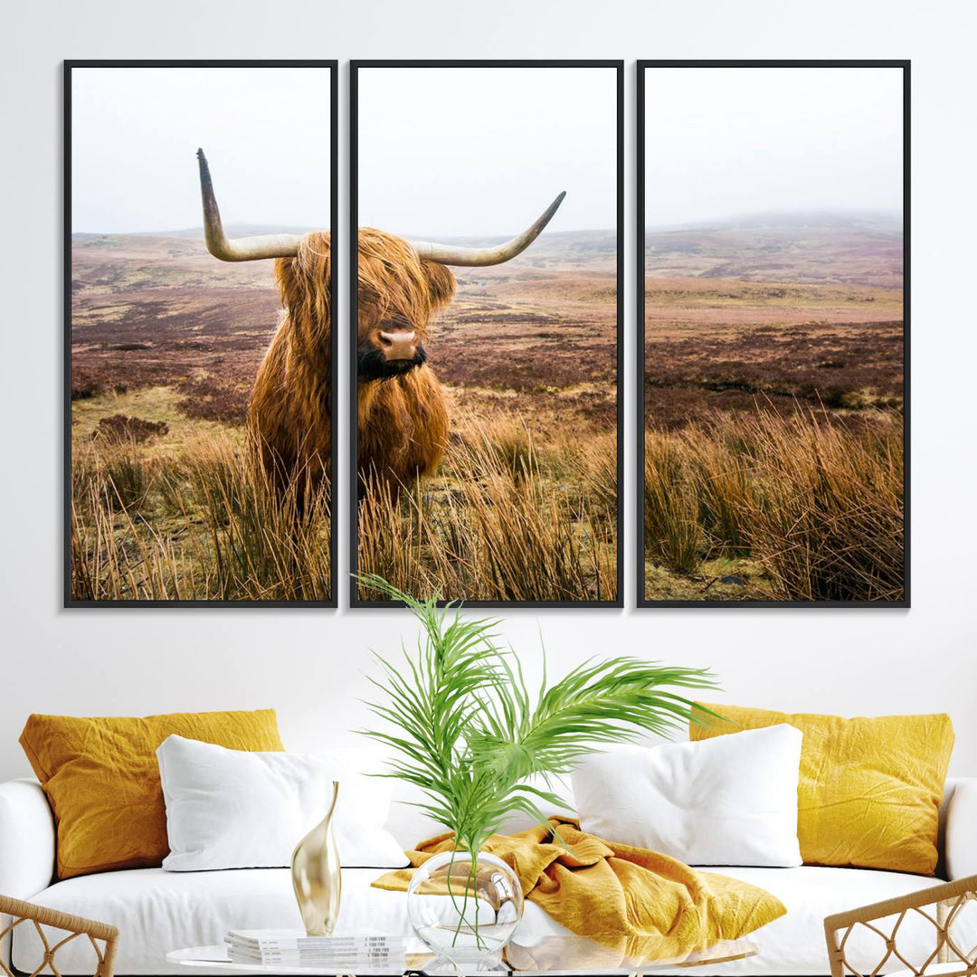 A ready-to-hang Scottish Highland Cow Cattle Canvas Wall Art.