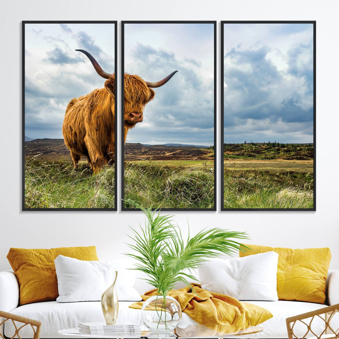 Highland Cattle Canvas Print: A minimalistic touch for any setting.