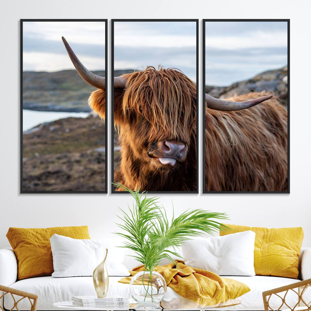 The Cuddly Highland Cow Canvas hangs, adding charm with its shaggy elegance.