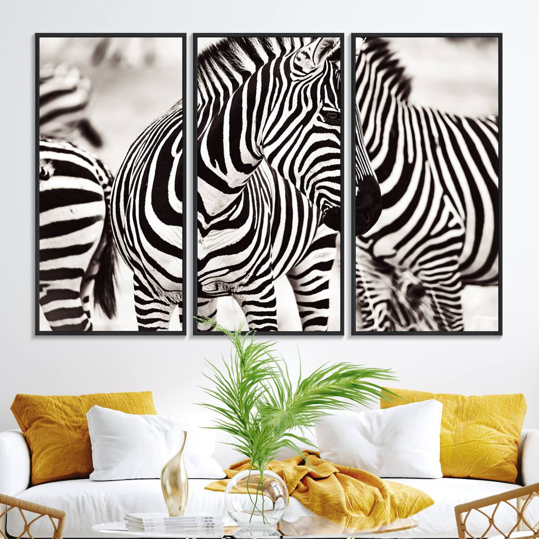 The Brilliant Zebra Photography Art Canvas Print hangs prominently on the wall.