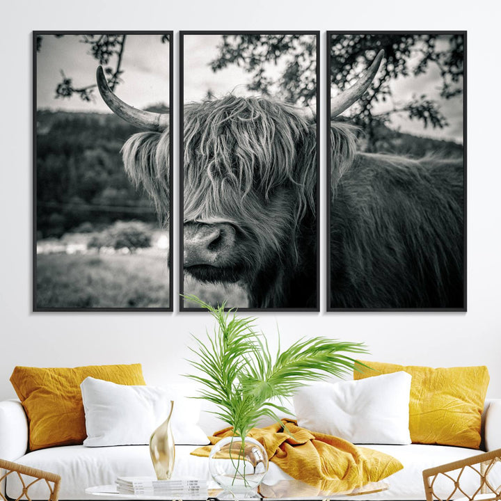 The Highland Cow Wall Art Canvas Print is displayed.